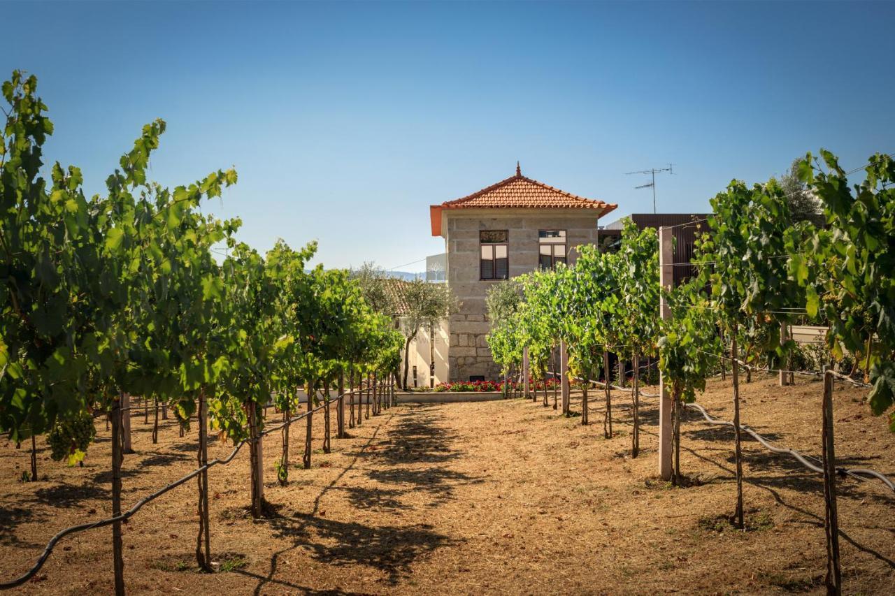 Villa Quinta Do Aido - Winetourism Cinfães Esterno foto